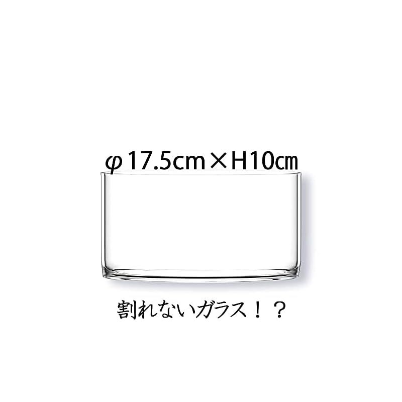 FOYER 割れない 花瓶 フラワーベース ポリカーボネート おしゃれ 高さ 10 cm 幅 17.5 cm 小さい 0