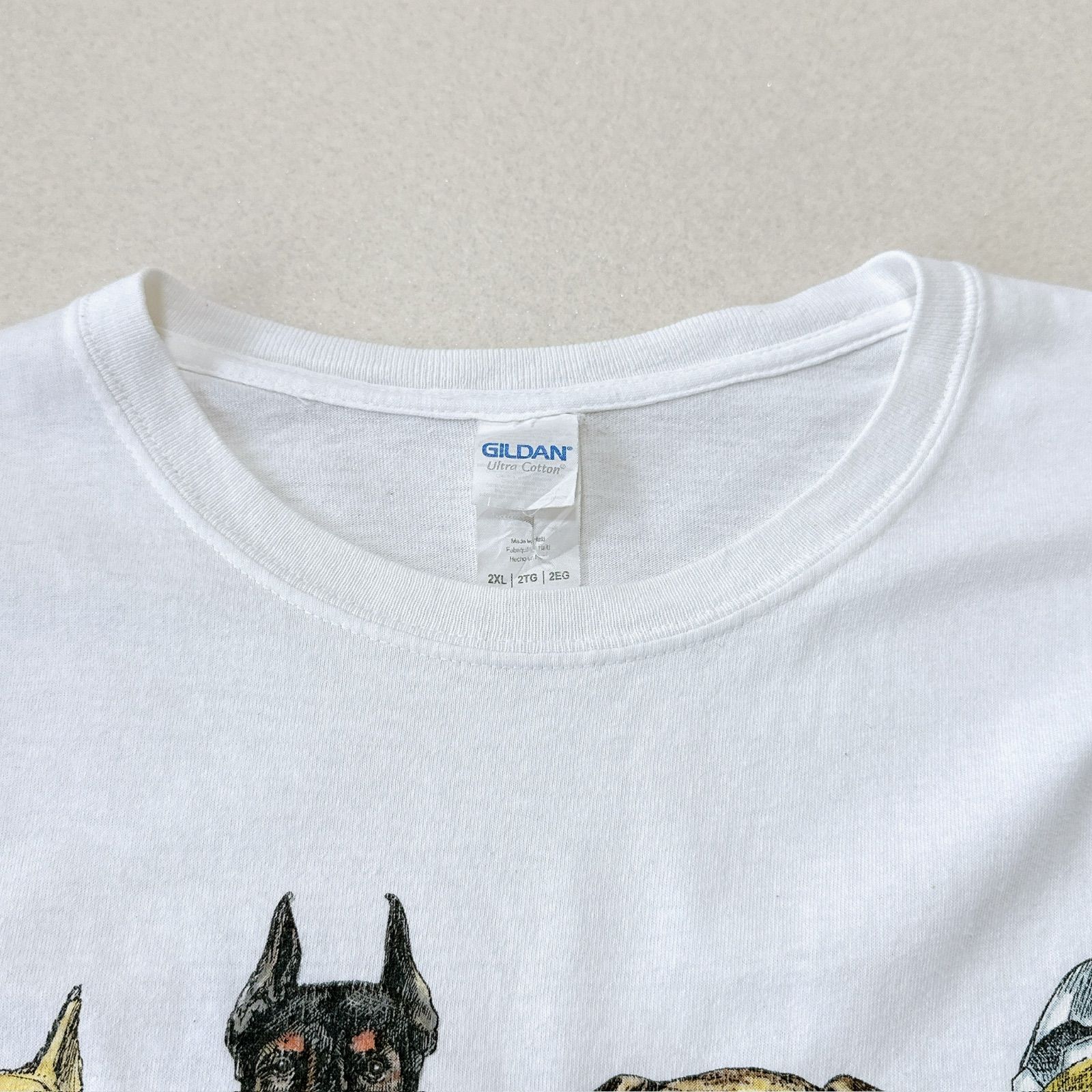 00s ギルダン アニマル プリントTシャツ ケネディスペースセンター 犬