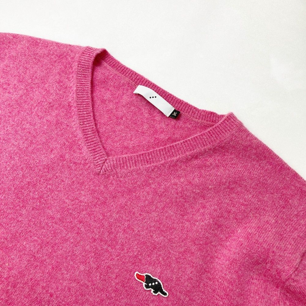 サイズ：XL ROUGH&SWELL ラフアンドスウェル カシミヤ Vネック