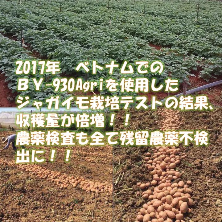 植物元気