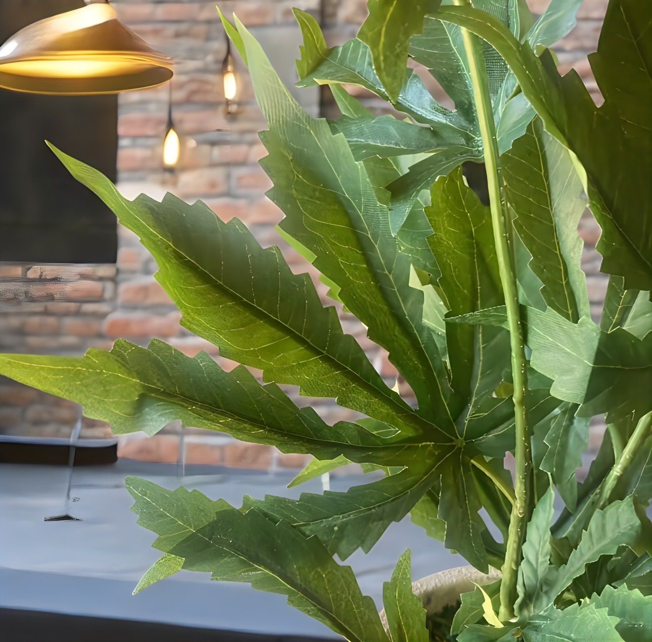 大麻 フェイクグリーン