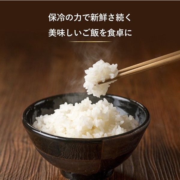 保冷米びつ ライスクーラ 21 kg SLI RC 自動温度調節 低温保存 新鮮 お米 ストッカー 米櫃 冷蔵 米びつ 米保冷庫 保冷保存 お米入れ 計量米びつ 収納 害虫予防