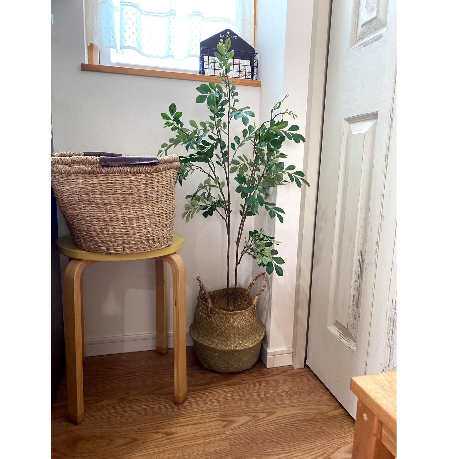 光触媒フェイクグリーン