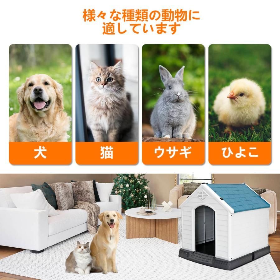 犬舎