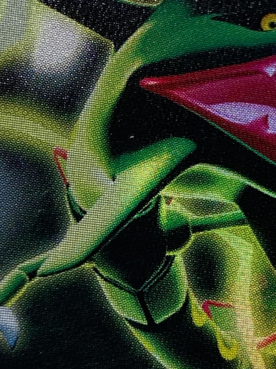 レックウザ δ-デルタ種 ☆ [ホロンの研究塔] 043/086 傷有り ポケモン