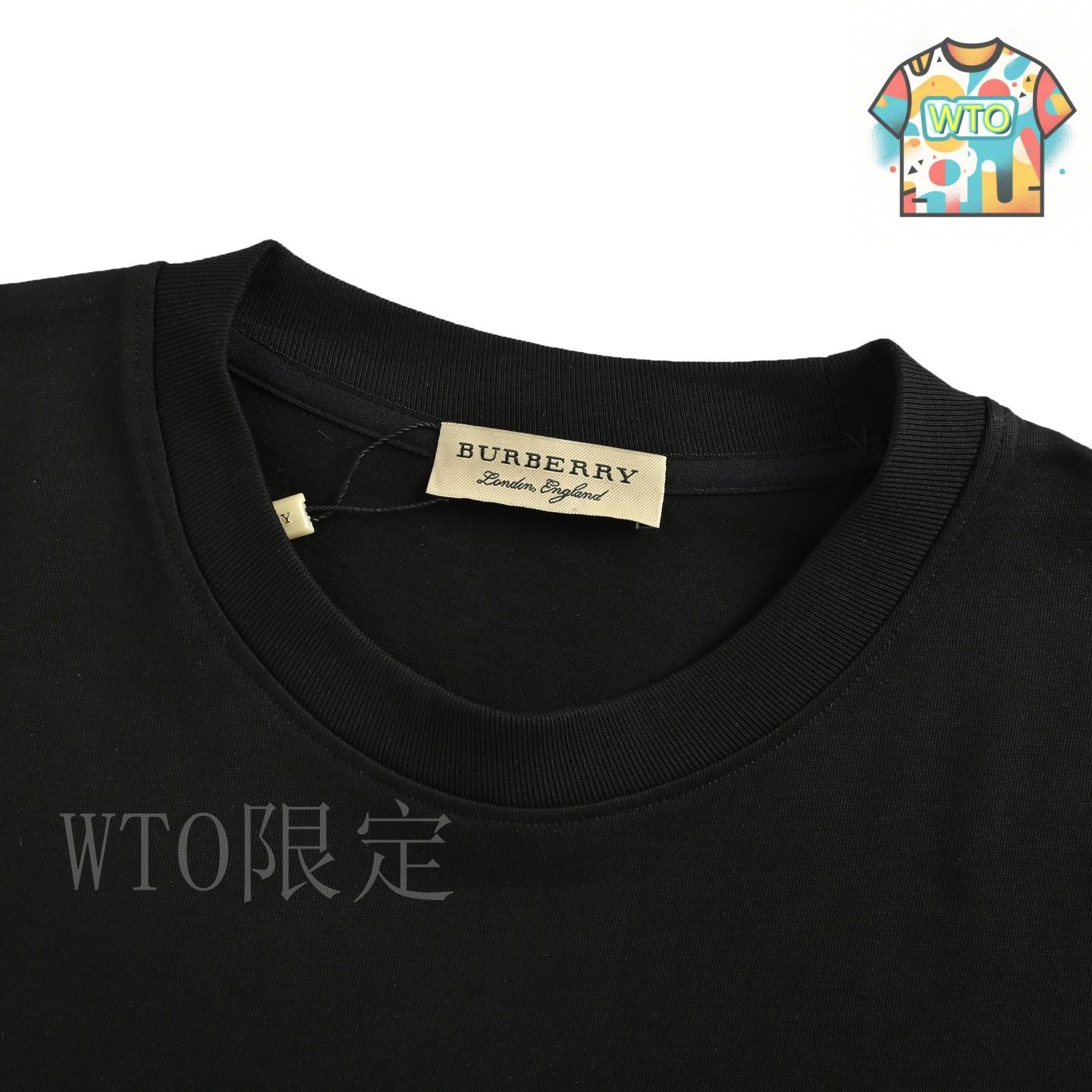 今日WTO】Burberry バーバリー 25ss 帆船プリント T シャツ-ZO76
