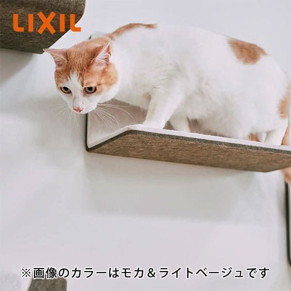 貯金箱 木の実のモチーフ 鍵付き 木製 レトロ ナチュラル雑貨