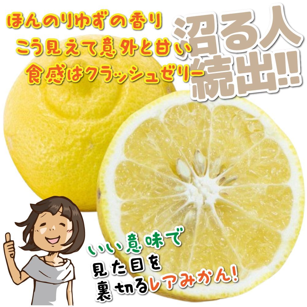 みかん 愛媛県産 訳あり 春香 はるか 箱込5.0kg（2月中旬～ご注文順に発送）※沖縄・離島・北海道は発送不可