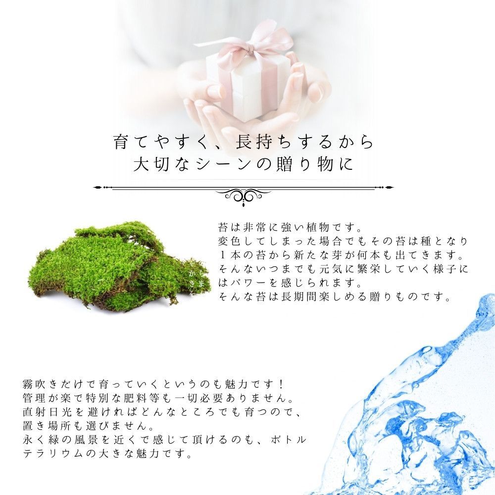 グリーン ギフト