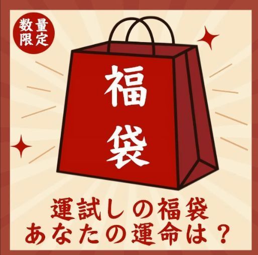 100点セット 運試しの福袋 あなたの運命は 店長おまかせ福袋 何が入っているかは届くまでのお楽しみ ケーブル モバイルバッテリー 車載用品 イヤホン LEDインテリアライトなど 盛りだくさん 在庫処分セール中 父の日 母の日のギフトやプレゼントにもぴったり