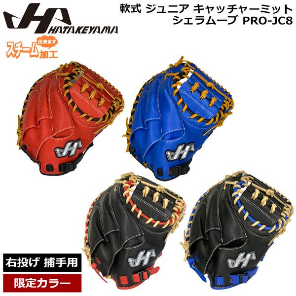 グラブ スポーツ ハタケヤマ 軟式少年キャッチャーミットグローブ 青