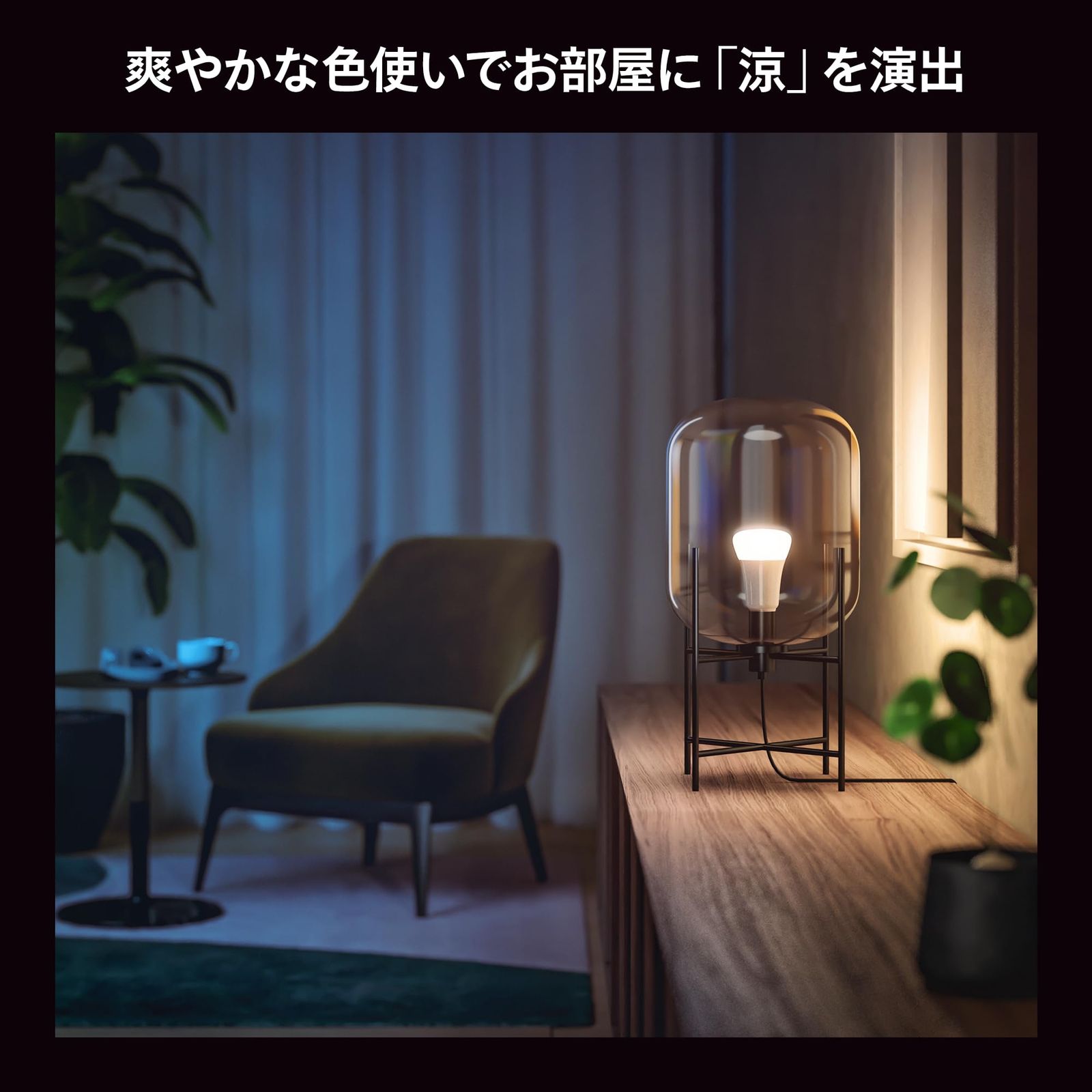 電球色 昼白色