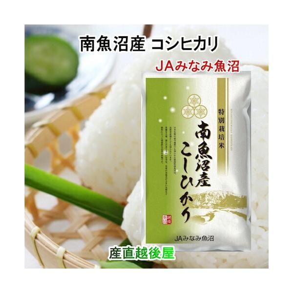 令和6年産 新米 南魚沼産 コシヒカリ10kg 玄米 新潟県 南魚沼 JA