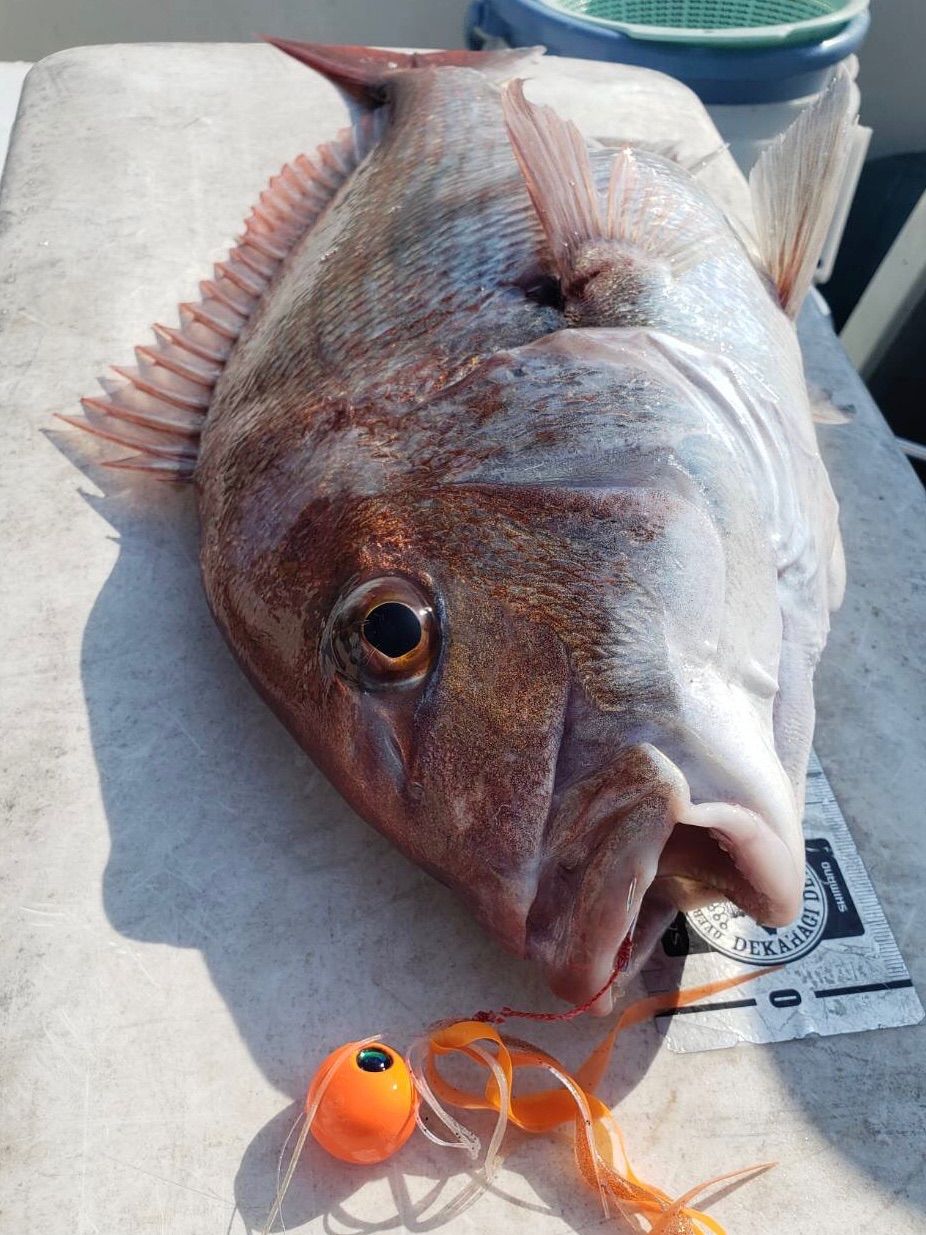 タイラバヘッド 鯛ラバジグ