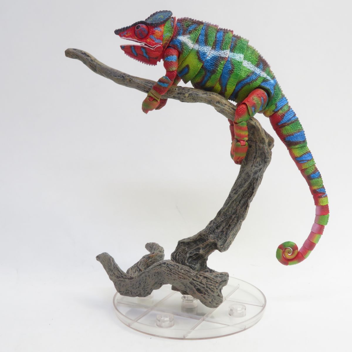 いきもの大図鑑プレミアム パンサーカメレオン グリーン いきもの大