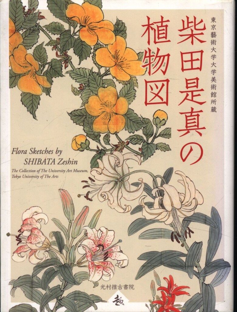 軸　柴田是真　能楽図　極め箱　MA671 1939年以来所在不明だった柴田是真「羽衣図」を初公開 「能狂言