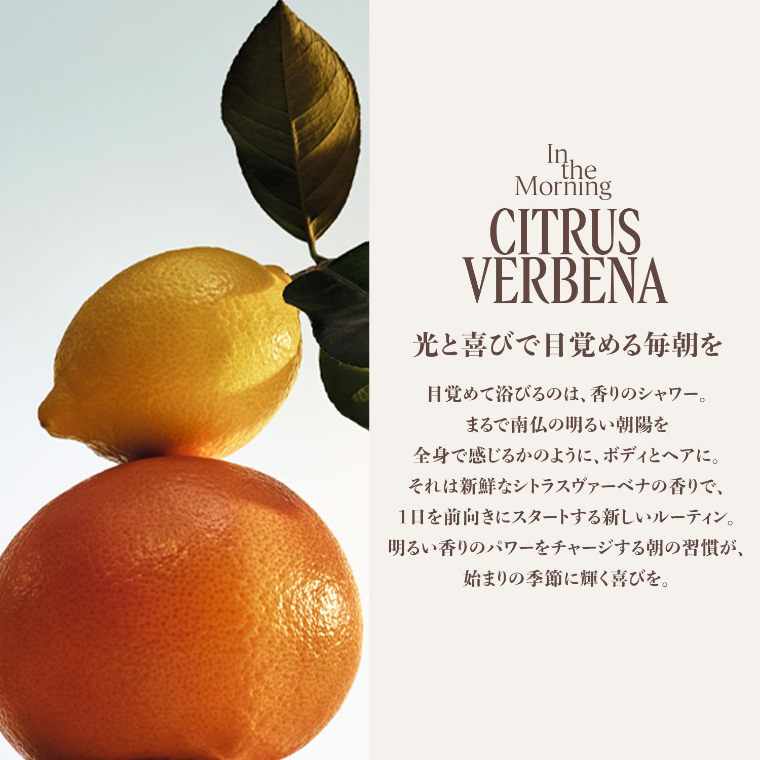 新品 ロクシタン(L'OCCITANE) シトラスヴァーベナ ボディ&ヘアミスト 50mL 女性 男性 メンズ 人気 クール ギフト プレゼント 全身用 髪用 顔用 ボディスプレー