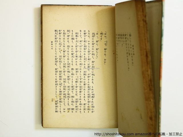 虞美人艸(虞美人草)/夏目漱石 橋口五葉装/春陽堂*35692 - メルカリ