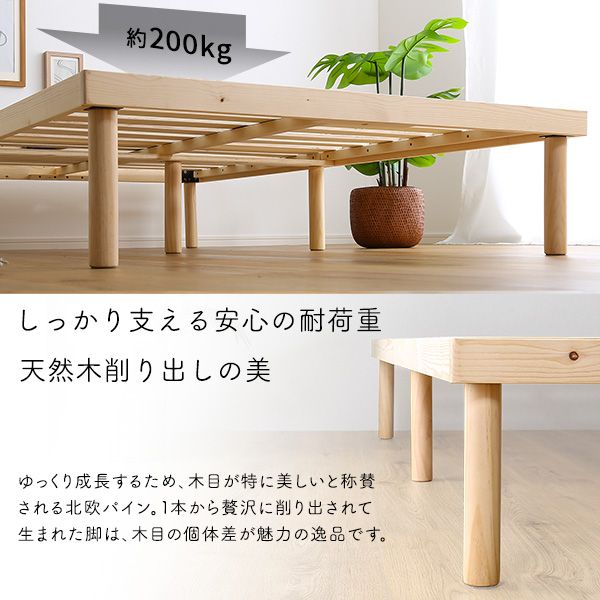 セミダブル