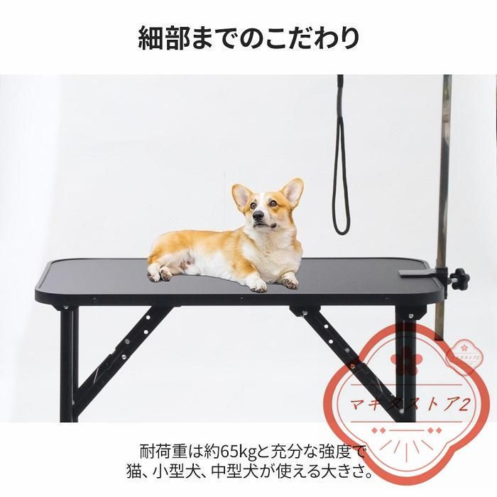 中型犬