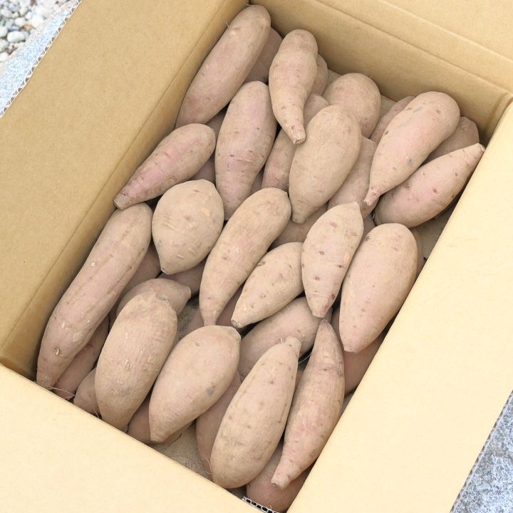 のサムネイル