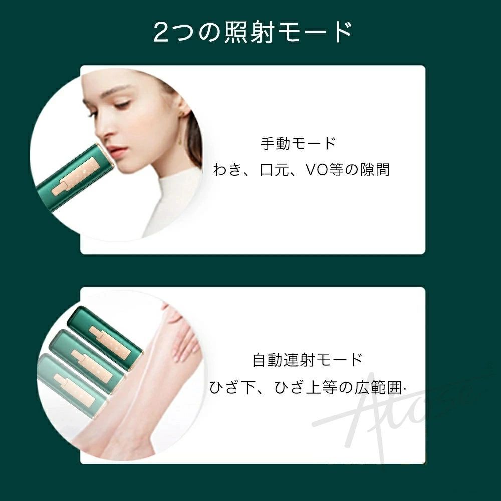 腕 足