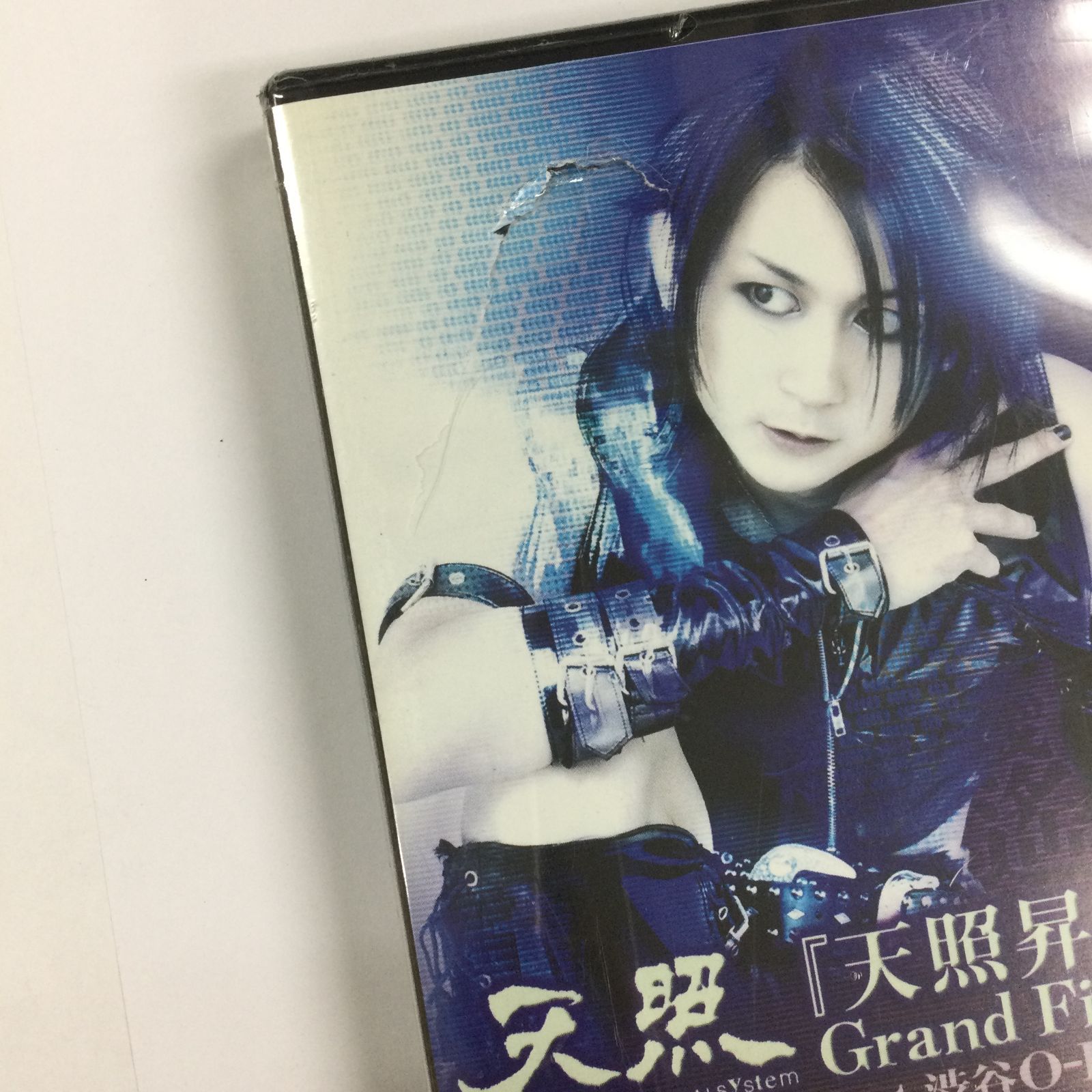 天照/天照昇華 Grand Finale 2007年1月26日 at 渋谷O-EAST [DVD]