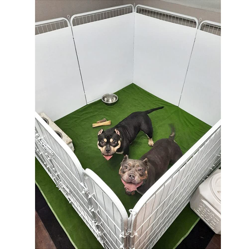 下敷き 犬