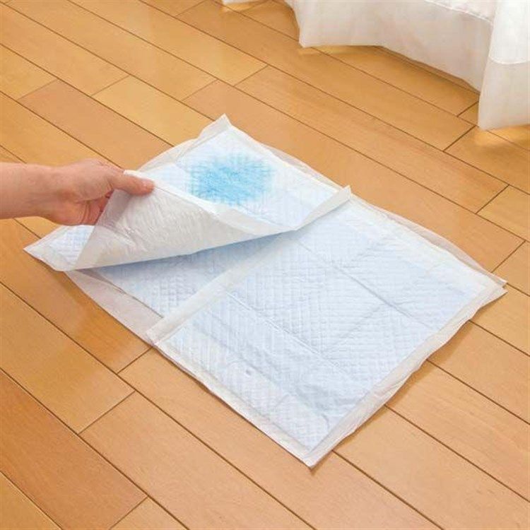 公式 ペットシーツ レギュラー 薄型 薄手 1200枚 ハーフサイズ 300枚×4袋セット アイリスオーヤマ クリーンペットシーツ 犬 猫 トイレ ペットシート P-NS-300RH STEELWINDOWSANDDOORS_COM