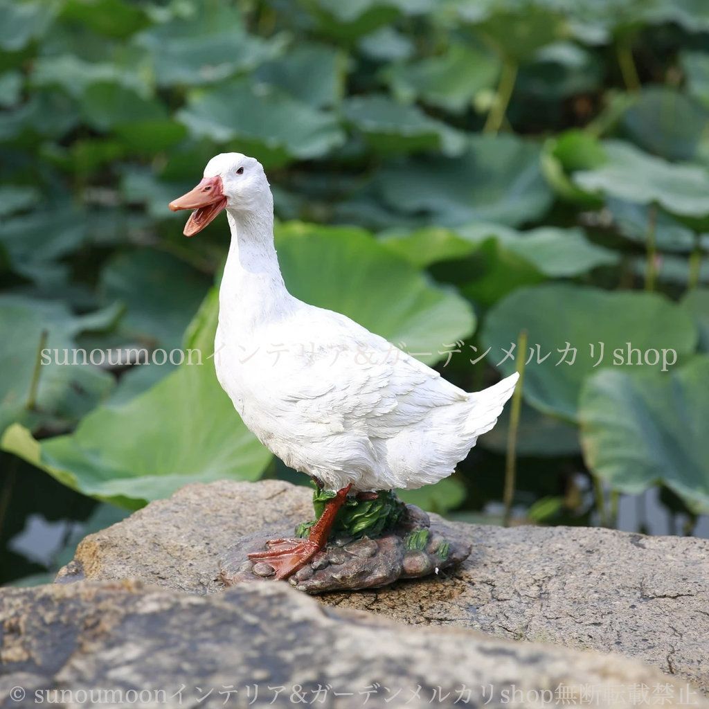 満足 お洒落 ガーデンインテリア ガーデニング 動物 庭 4-7 インテリア あひる 庭の装飾 ホワイト 装飾 ガーデン雑貨 置物 雑貨 鳥 ガーデン アヒル おしゃれ かわいい ガーデンオブジェ 樹脂 アニマル 【在庫限りの大特価】