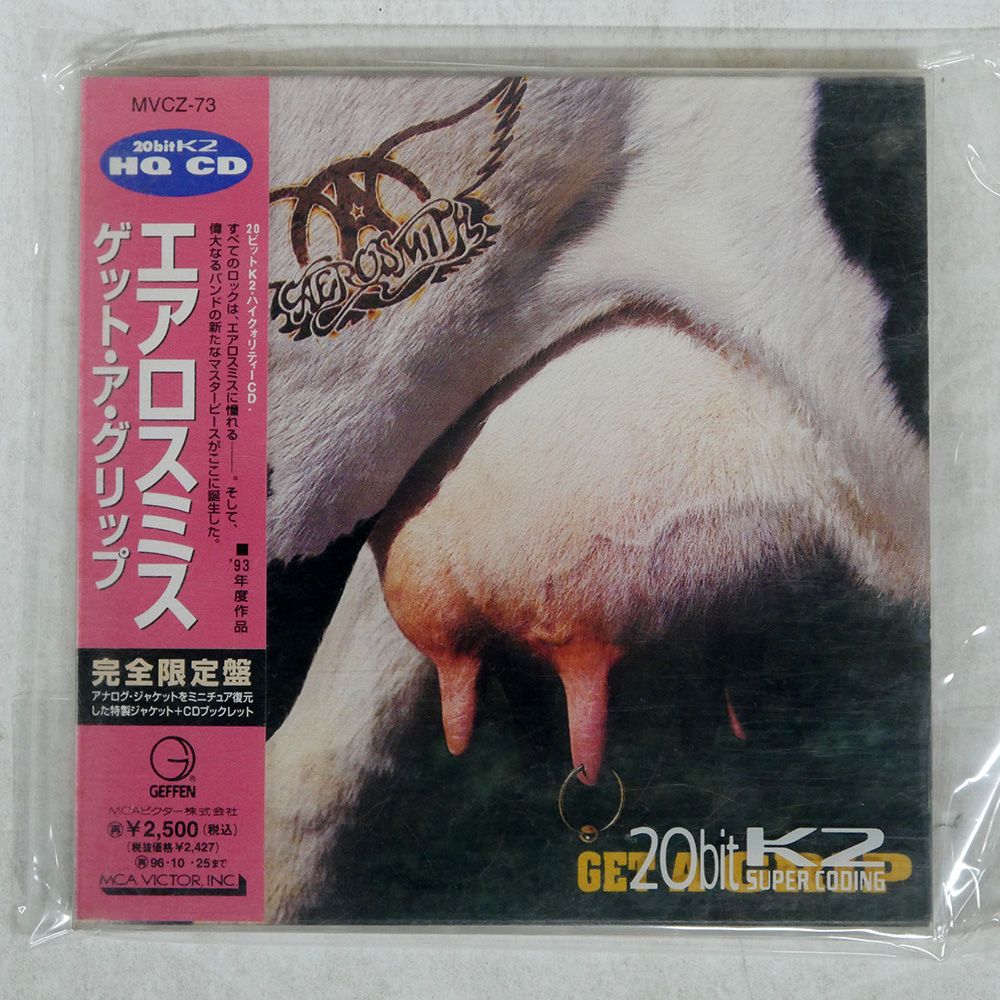 ファン必見！ エアロスミス 1977年来日ツアーパンフレット
