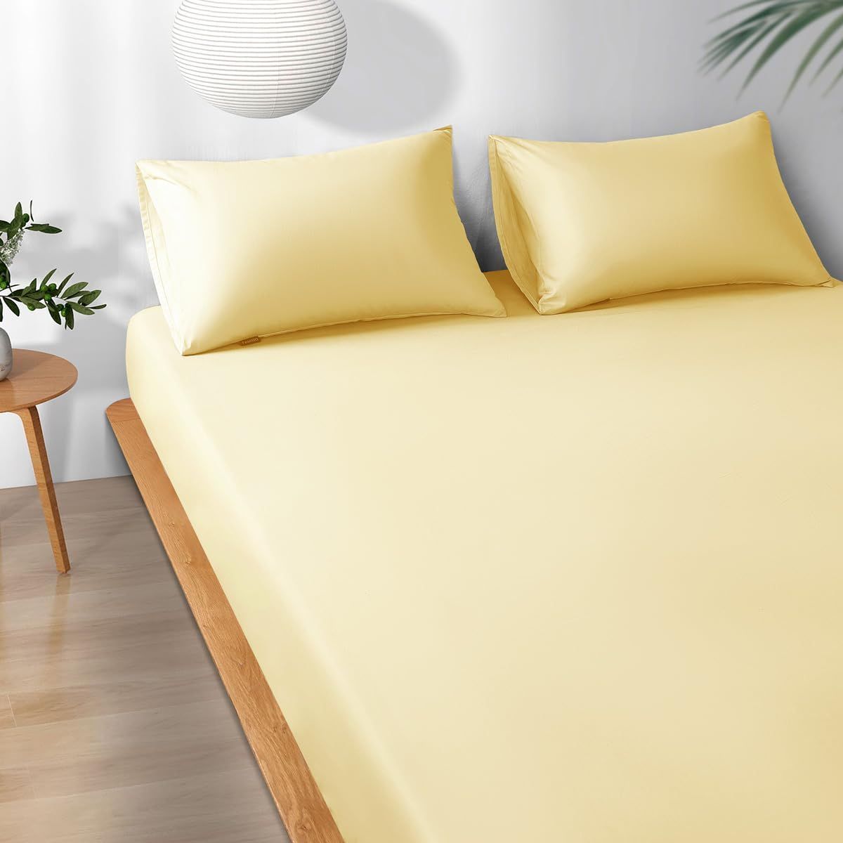 綿100％ オーガニッ