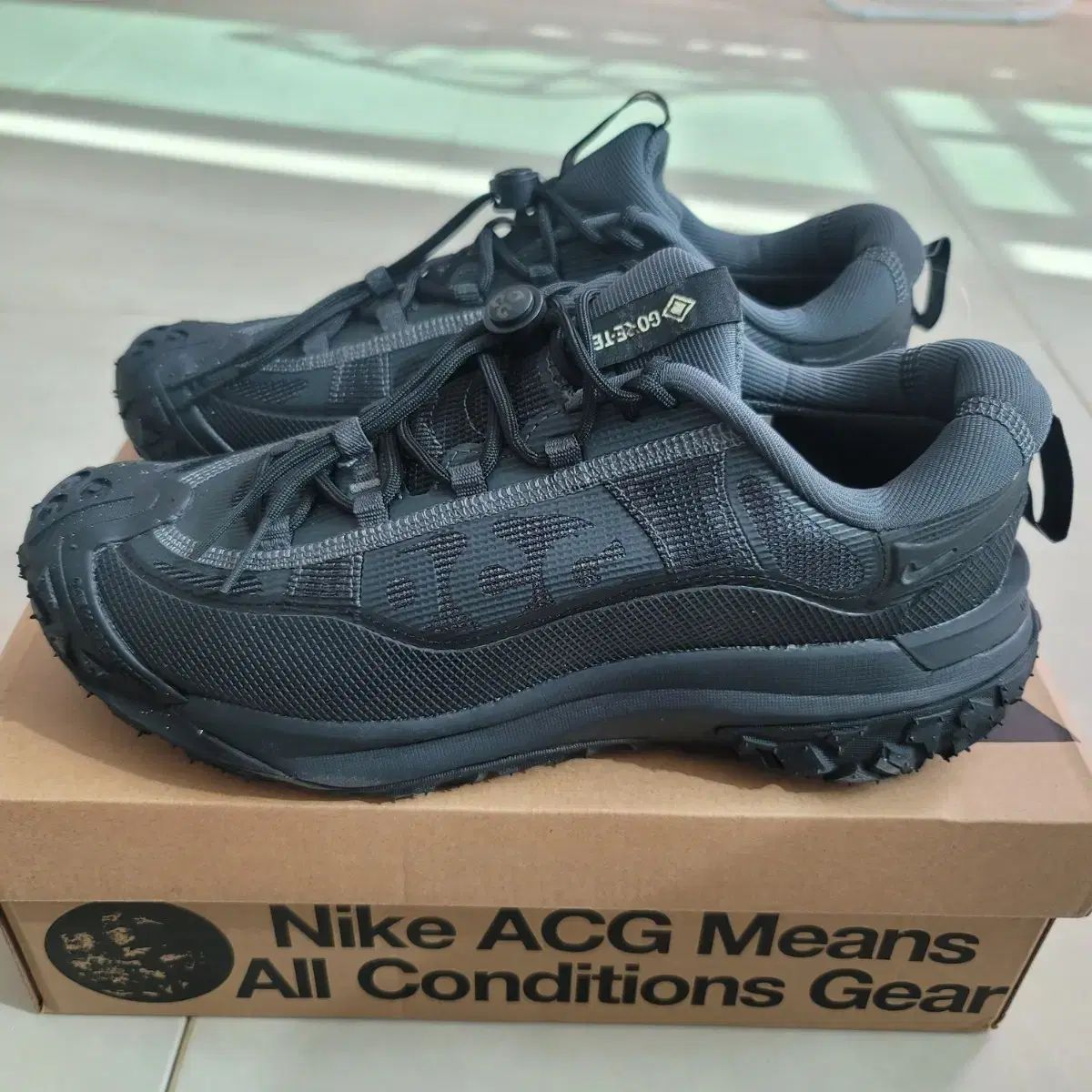 ナイキ ACG マウンテン フライ 2 ロー GXT 275