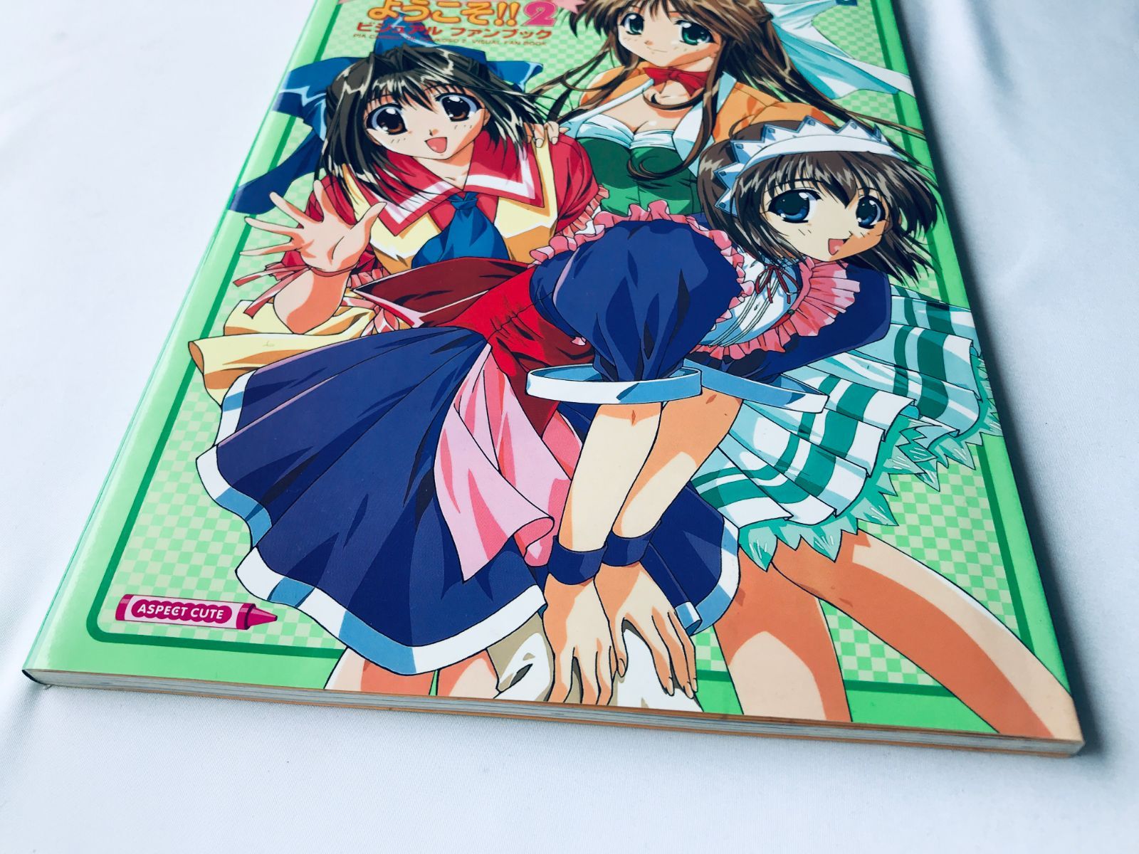 Pia ピアキャロットへようこそ!! 2 ビジュアルファンブック 攻略本