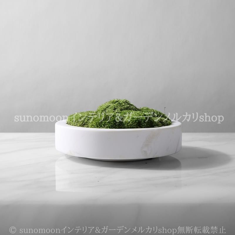 円形 ミニ プランター マーブル模様 植木鉢 おしゃれ かわいい ラグジュアリー インテリア 鉢 多肉植物 ガーデン ポット プレート 白 ホワイト