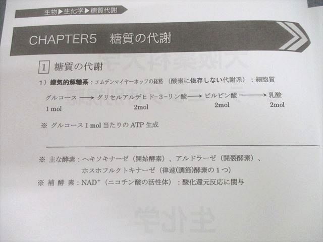 UF11-027 e-ラーニング/大阪薬科大学 薬剤師国家試験対策 生化学/物理化学/実務/環境衛生学 等 レジュメ大量セット 2019☆ 00L3D  - メルカリ