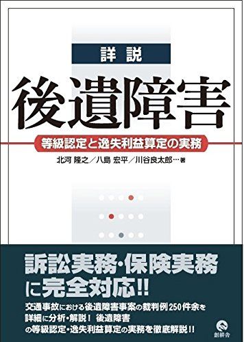 詳説後遺障害: 等級認定と逸失利益算定の実務／北河 隆之