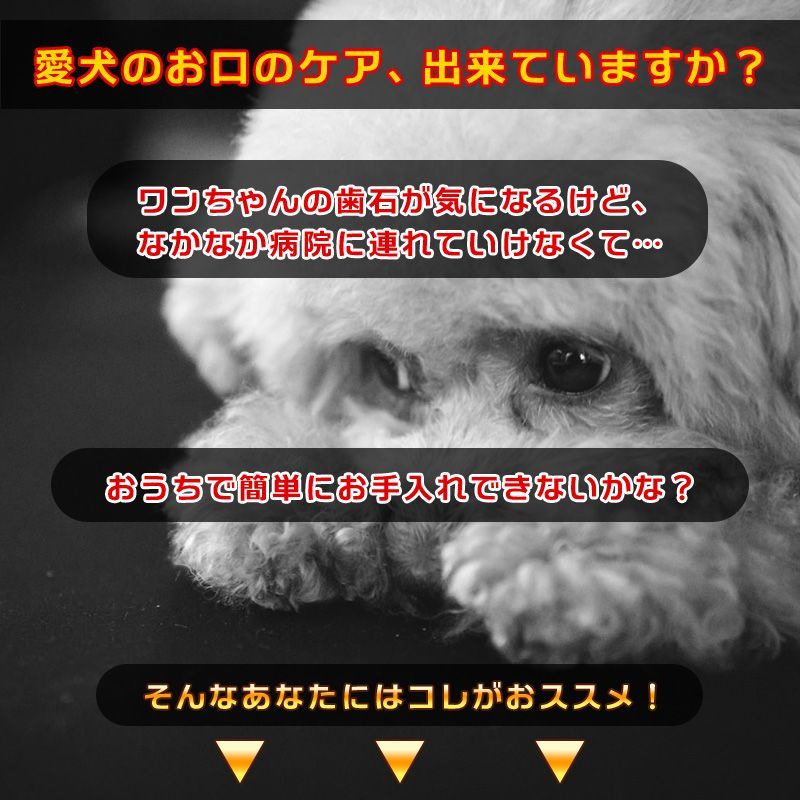 犬 歯石取り 器具 ペット用 スケーラー ハンドスケーラー スケラー 自宅いぬ用猫用ネコ老犬老猫 デンタルケア用品 ヘルスケア デンタルヘルス 口腔ケア虫歯予防歯磨き歯周病歯髄炎安全歯石とり歯石除去お手入れ7歳10歳12歳13歳14歳15歳★2