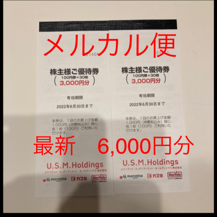 ユナイテッドスーパー 株主優待券 6000円分 2022年6月期限 - www ...