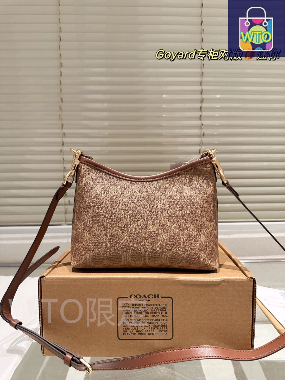 今日 COACH Mini 流浪包 クーチ ミニ ローヤル バッグ -WTO輸入3