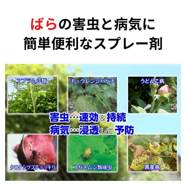 マイローズ ベニカXファインスプレー 950ml ２本セット バラ 殺虫殺菌剤 害虫の駆除 病気の予防 即効性と持続性を実現 住友化学園芸