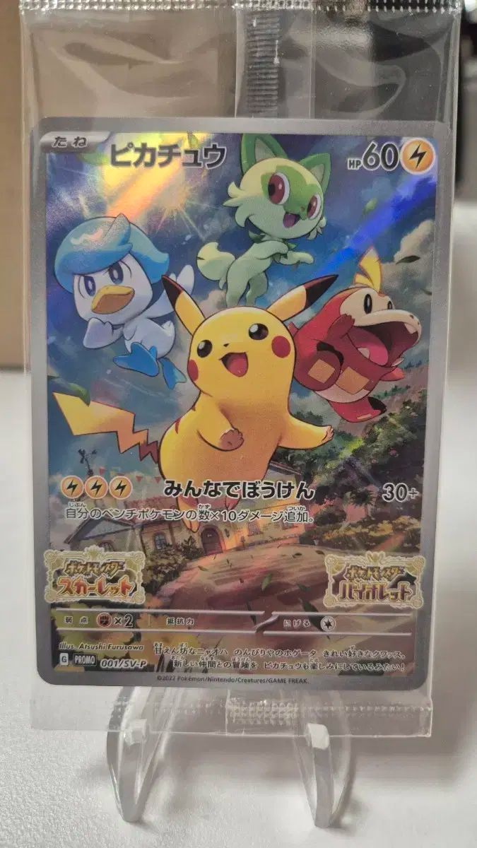 ポケットモンスター 緋色 バイオレット プロモ 一般 001 sv ー p