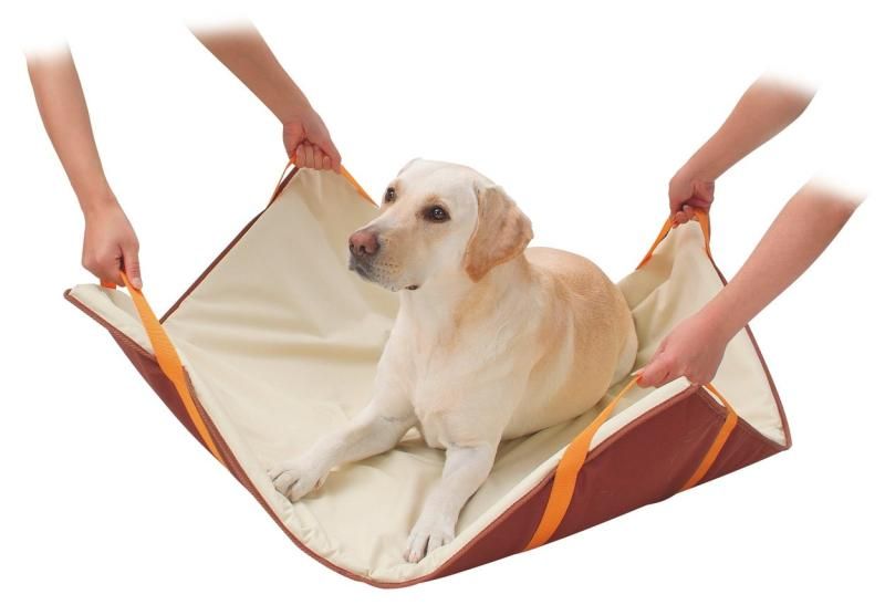 楽天市場】buddhist statuesの通販 【神像 木彫女神 仏像 外国物 佛 仏