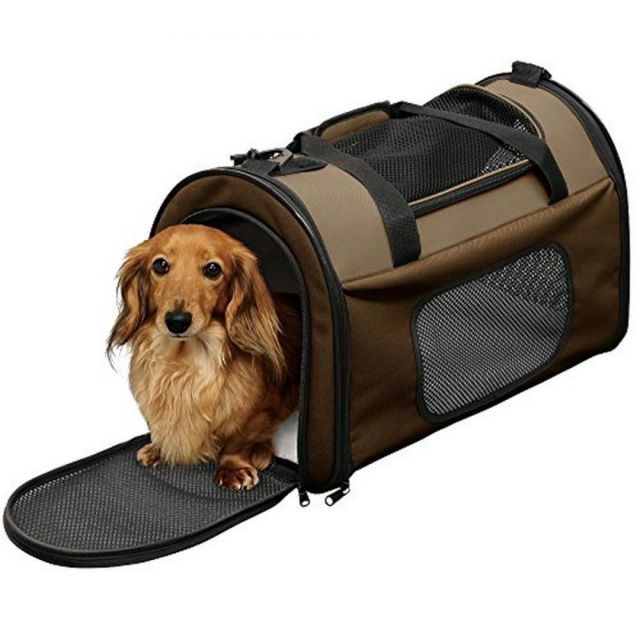 Yuria様専用マイルドフォーム2本パウチ付＆プロテクションベース