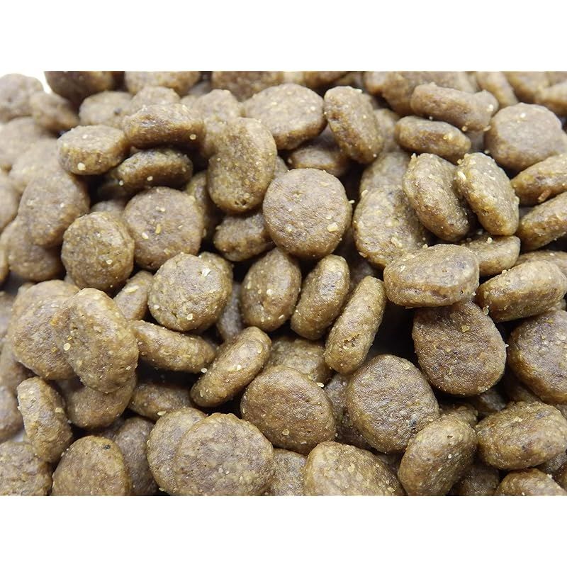 ウィッシュ ドッグフード Wish サーモン おなかの健康維持 1歳から 5.4kg