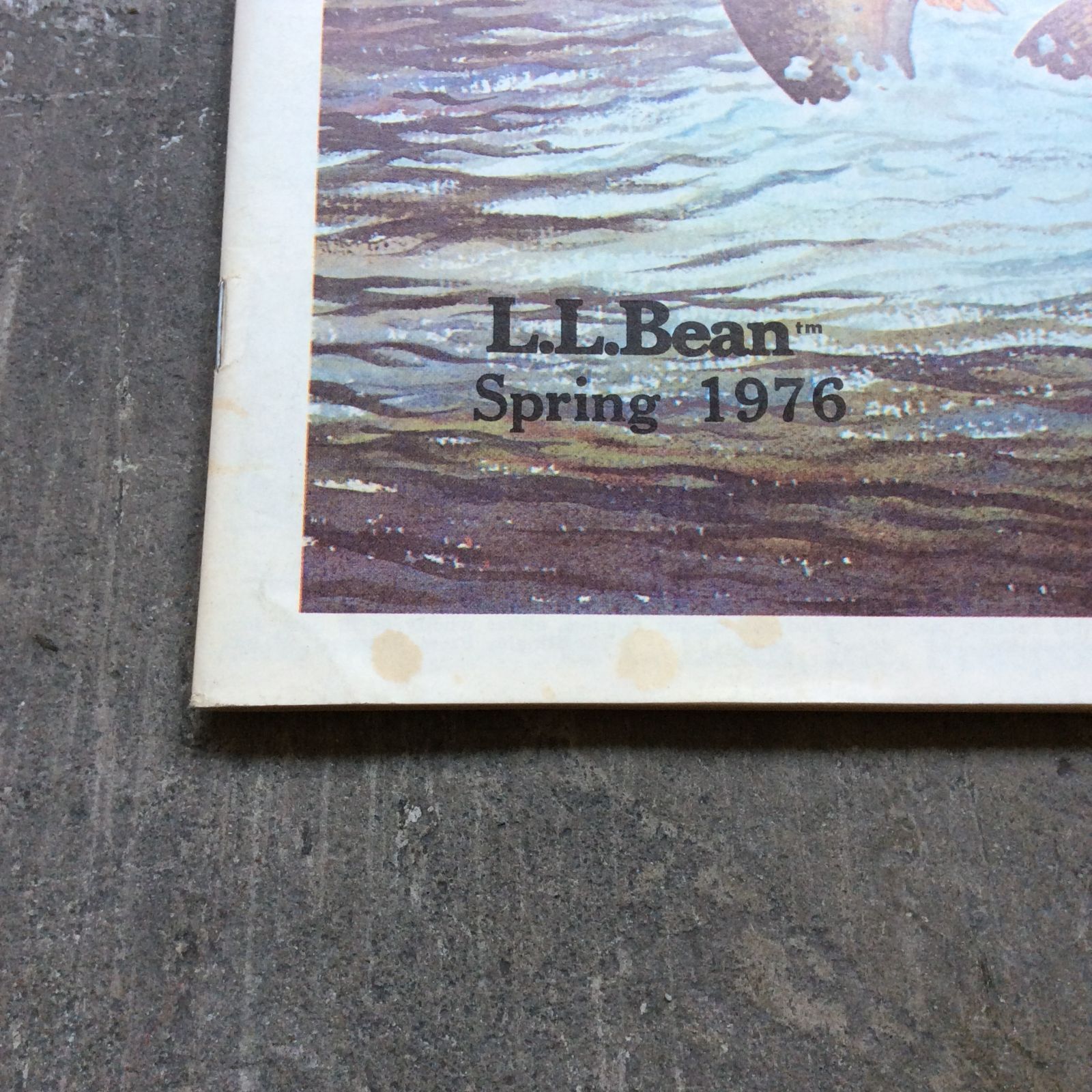 国内発送 / 1976 Spring Catalog Inc. Bean, L. L. L. カタログ Bean L. その他