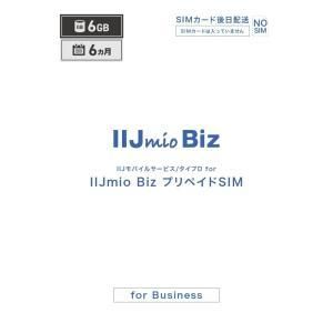 2営業日で発送 IMB431 IIJmio Biz プリペイドSIM 6GB 6ヶ月 SIM後日配送