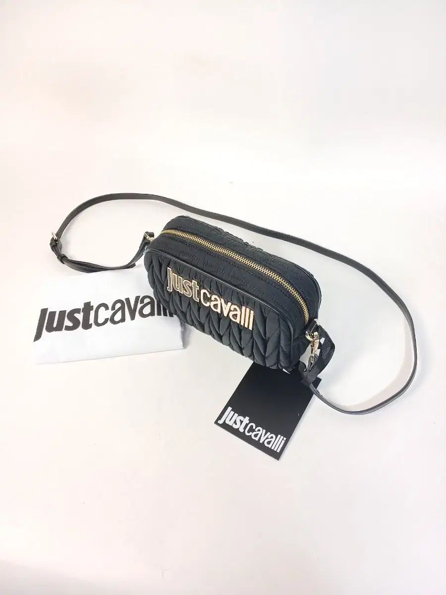 ジャストカヴァッリ 噛み砕く