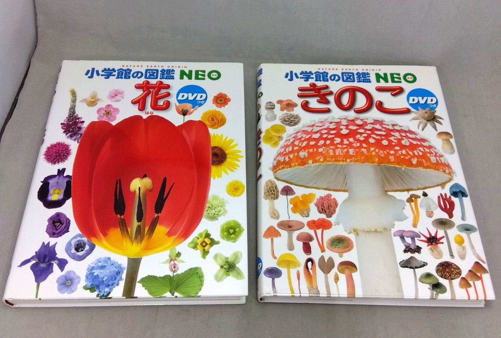 小学館の図鑑 NEO 11冊セット 植物 昆虫 魚 鳥 水の生物 宇宙 地球