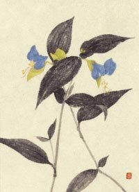 絵はがき 花と実